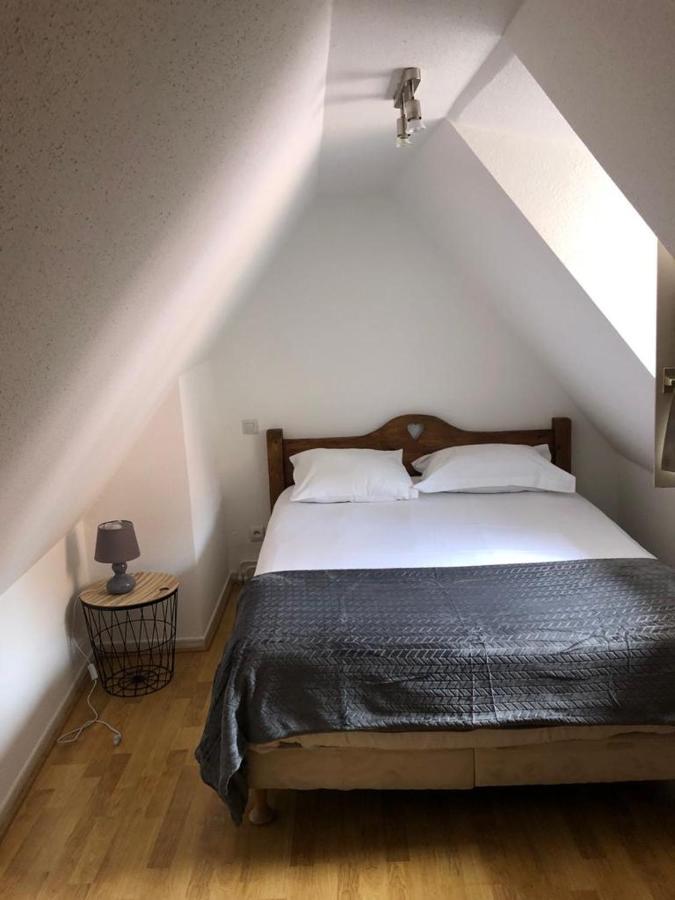 Les Appartements Du Koifhus Colmar Exterior photo